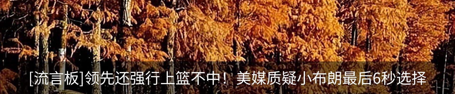 最新动态